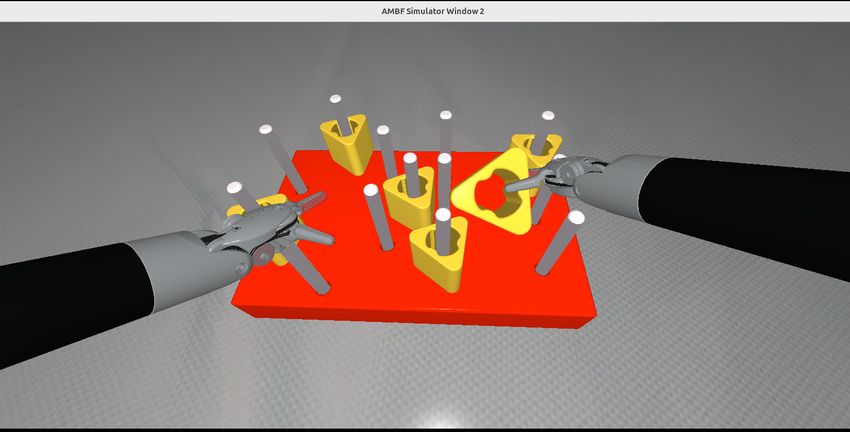 AMBF Simulation